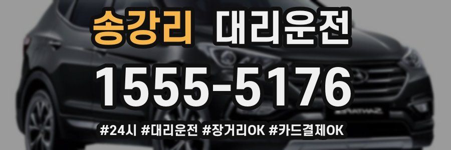 송강리 대리운전