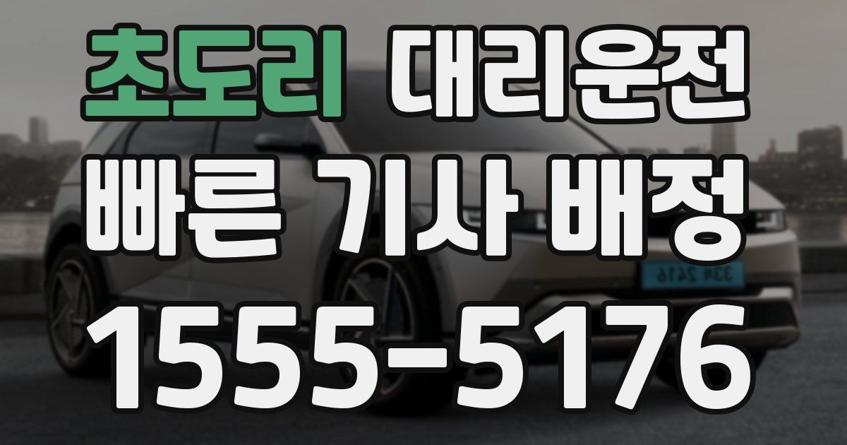 일일대리기사