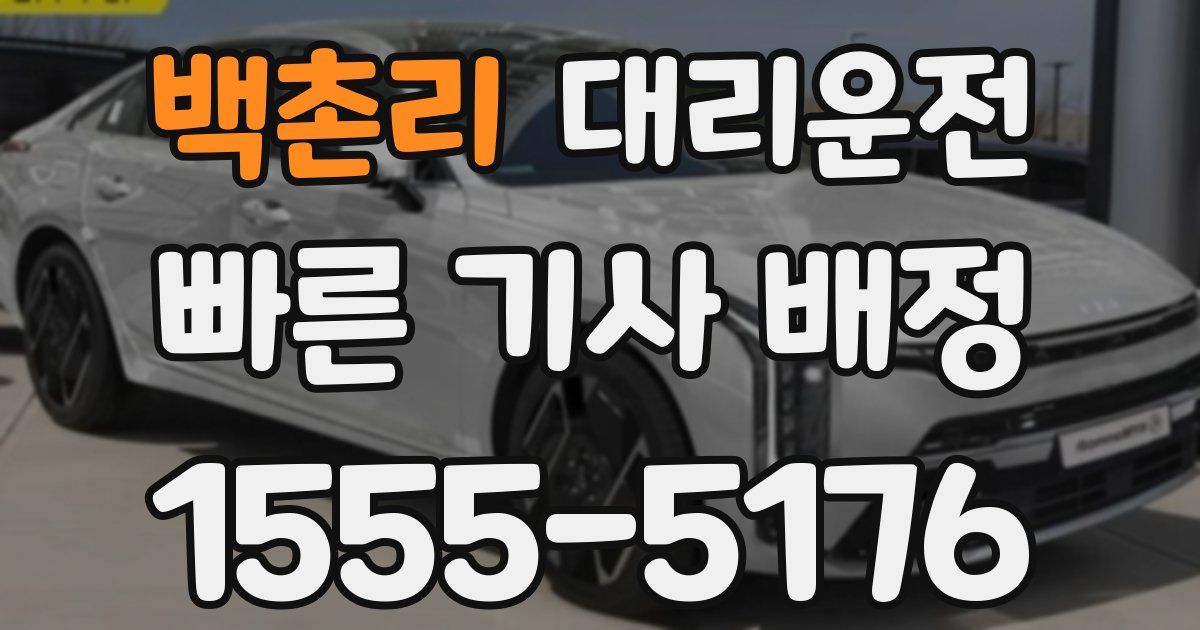일일대리기사