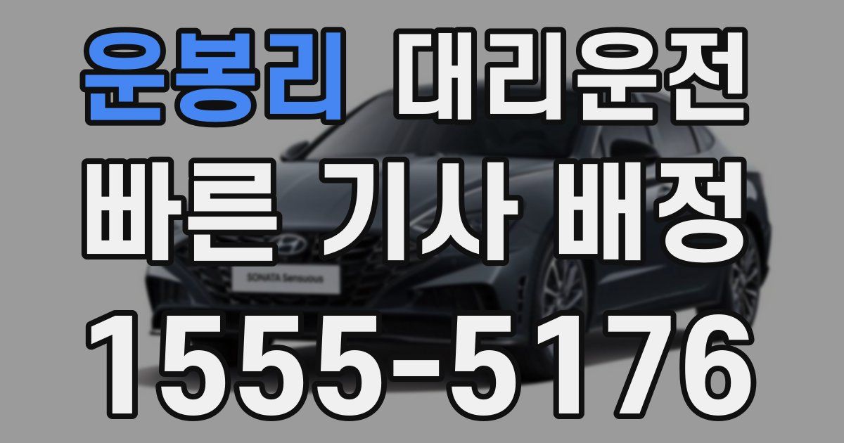 일일대리기사