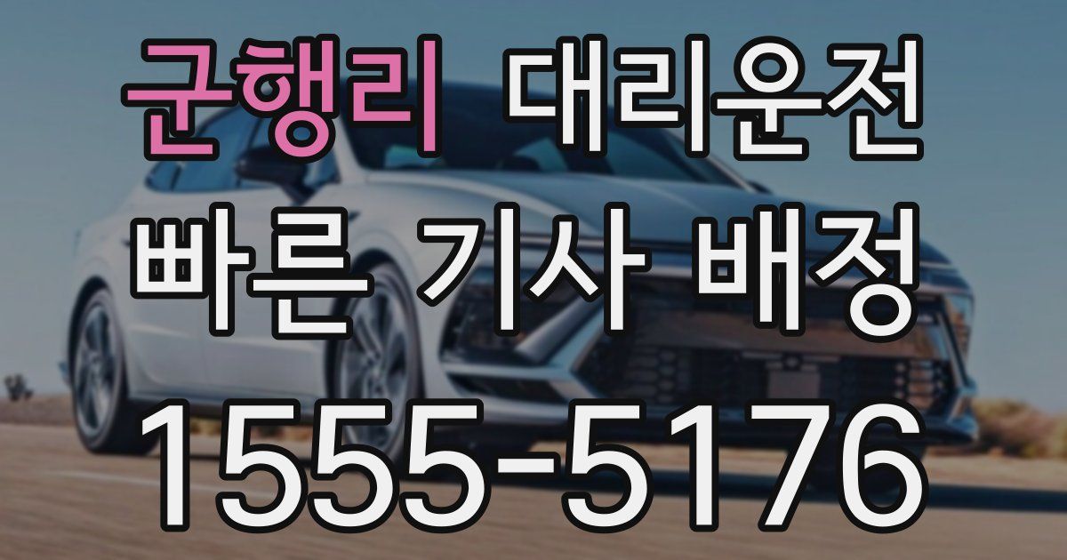 일일대리기사