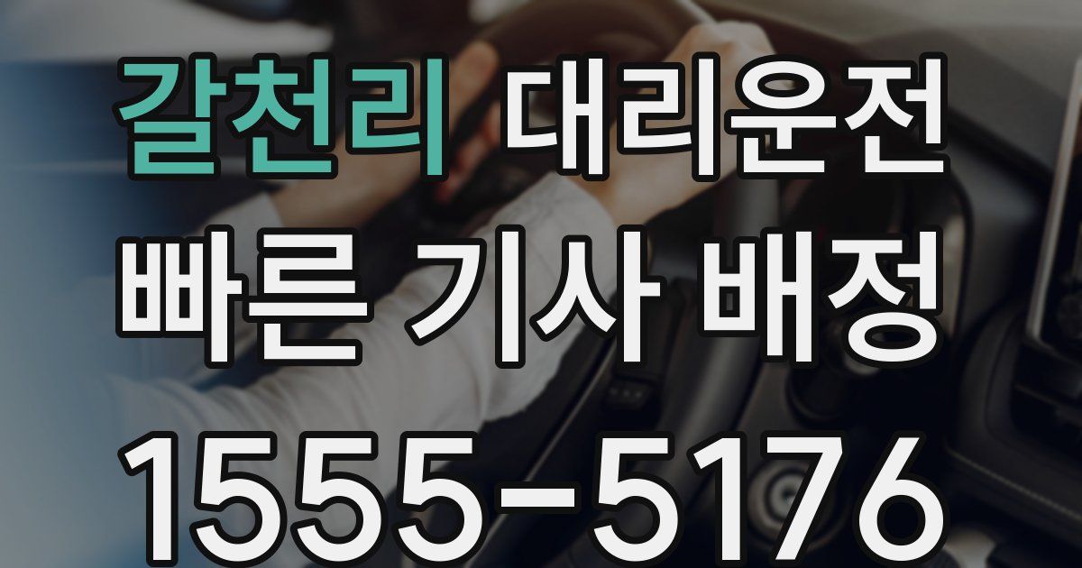 일일대리기사