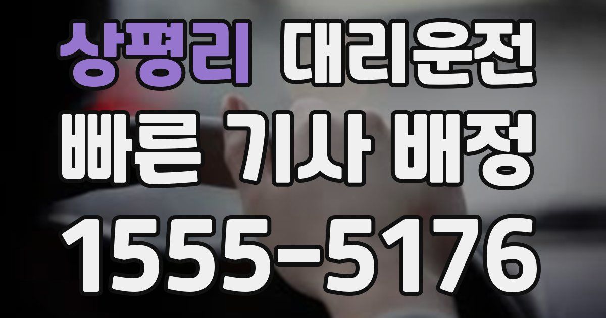 일일대리기사