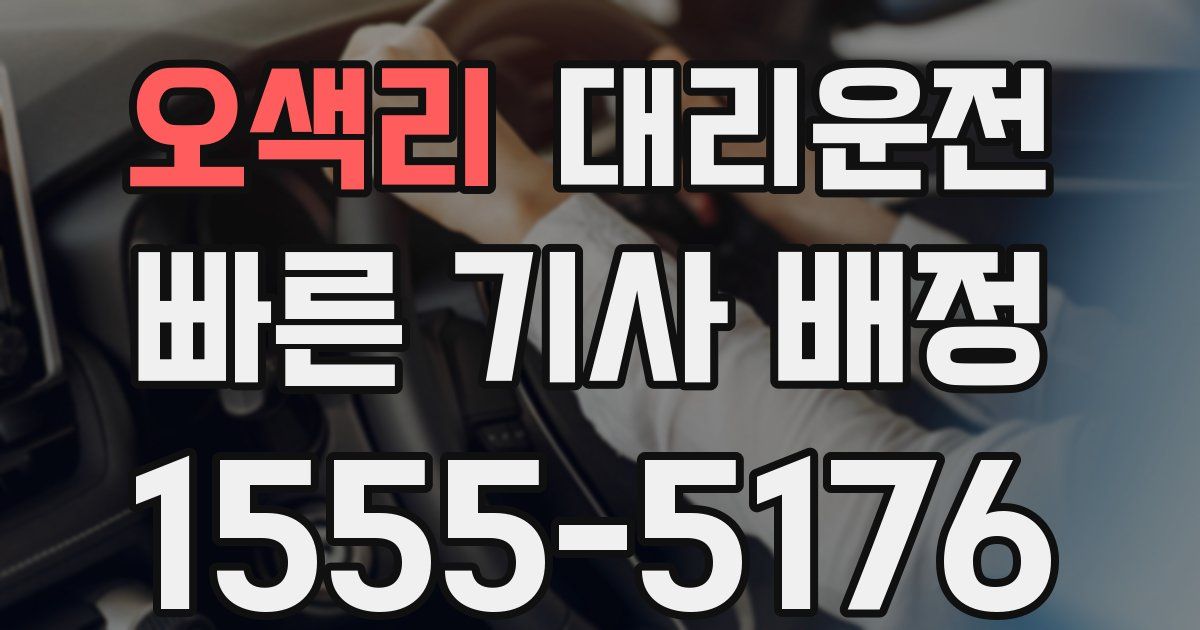 일일대리기사