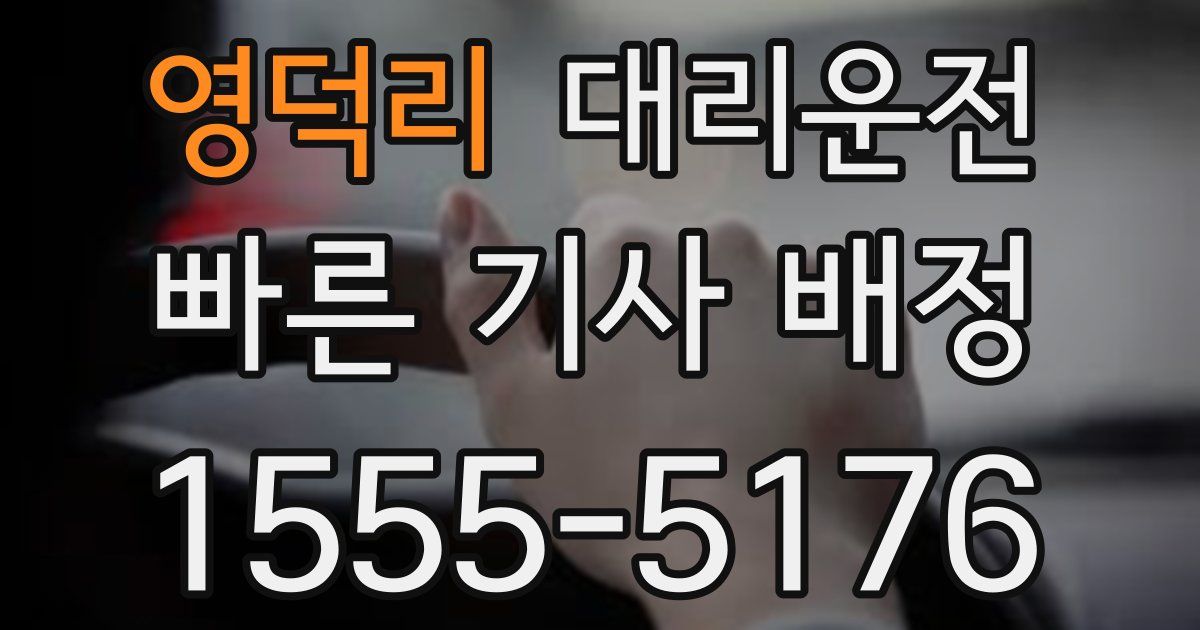 일일대리기사