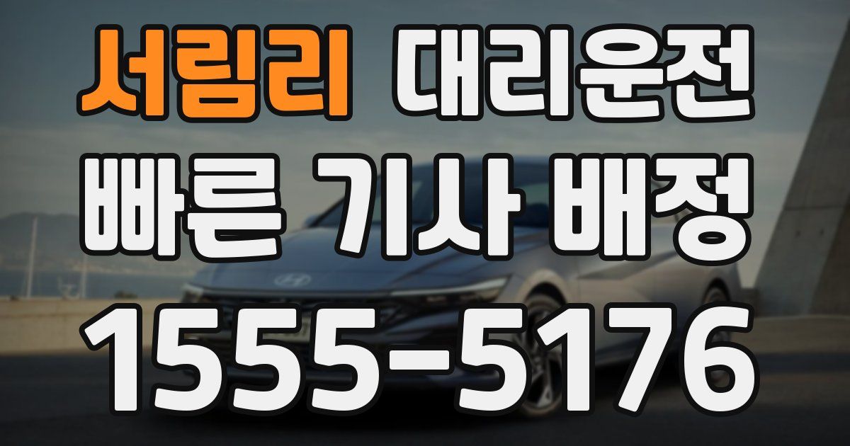 일일대리기사
