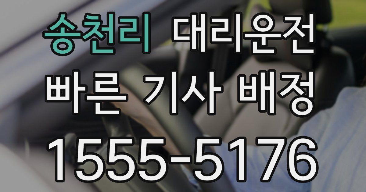 일일대리기사