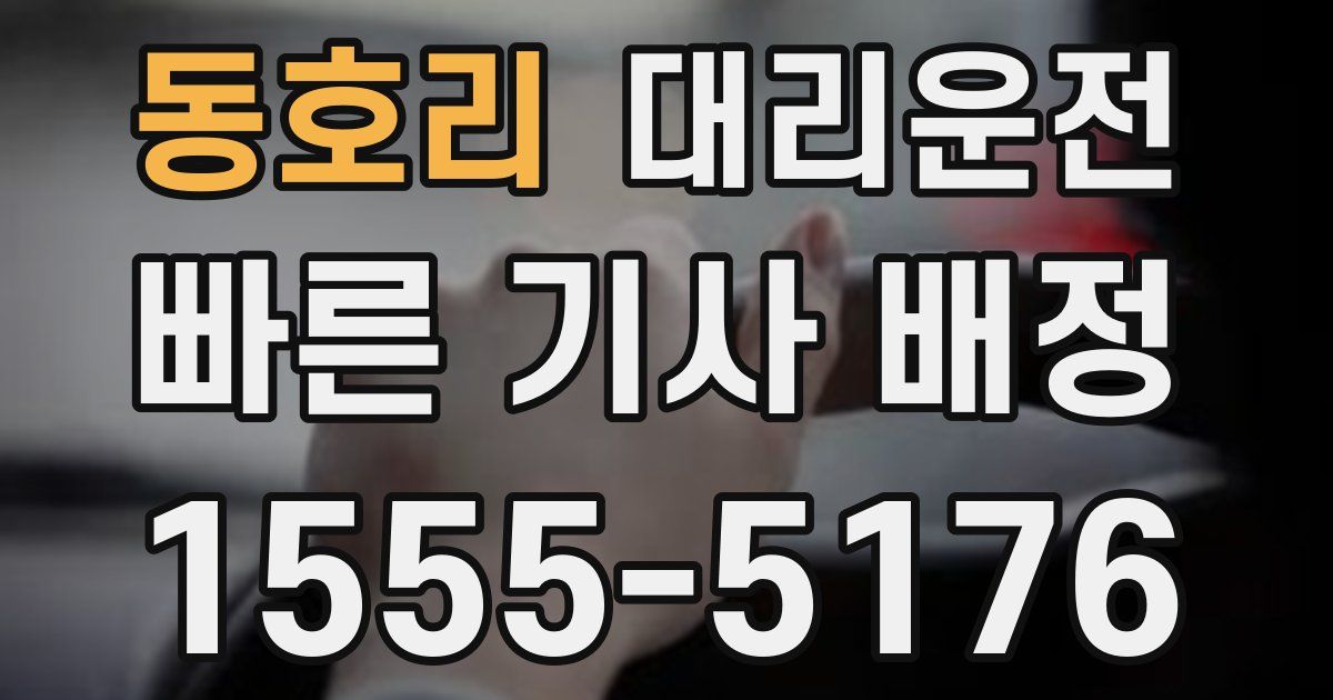 일일대리기사