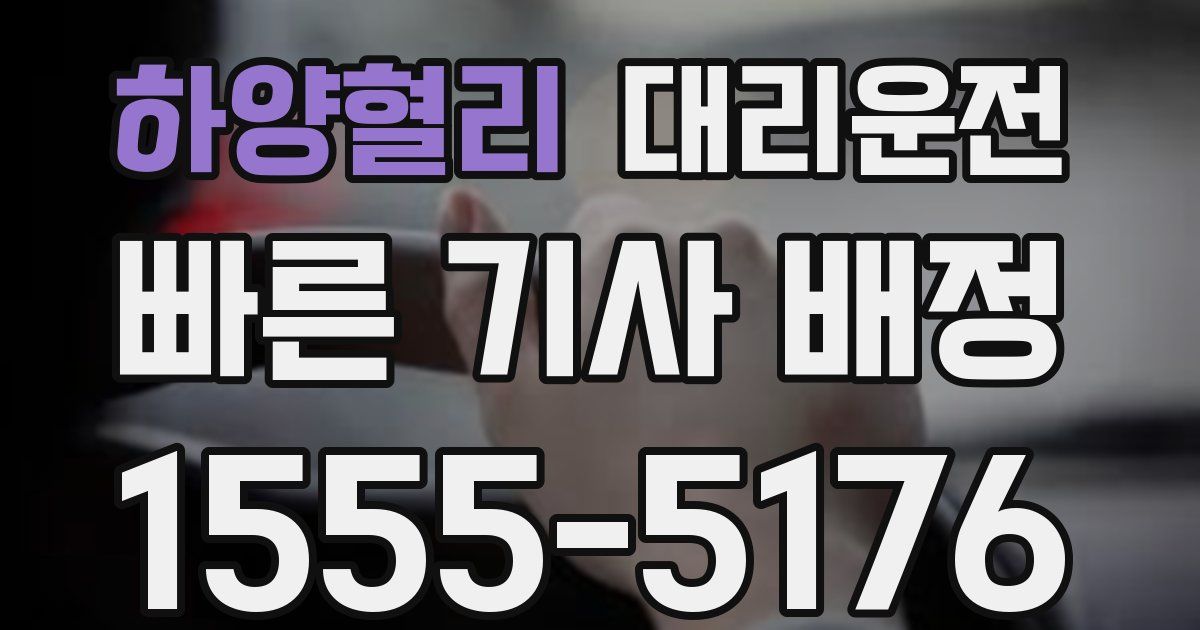 일일대리기사