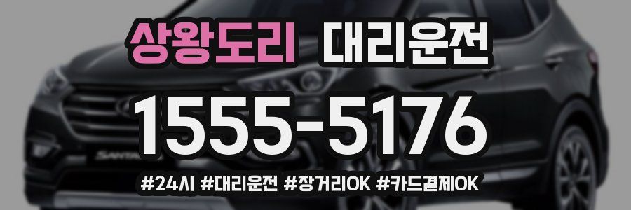 상왕도리 대리운전