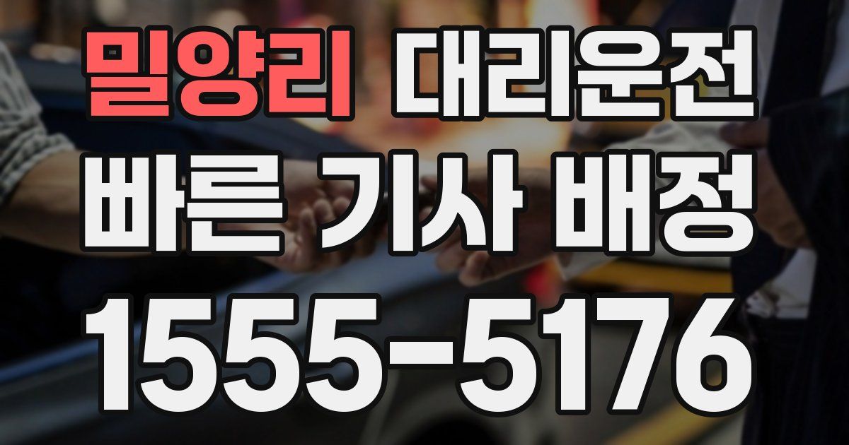 일일대리기사