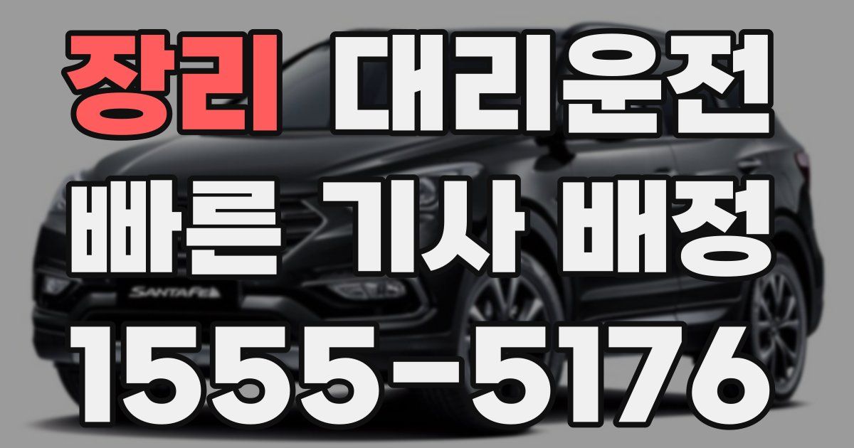 일일대리기사