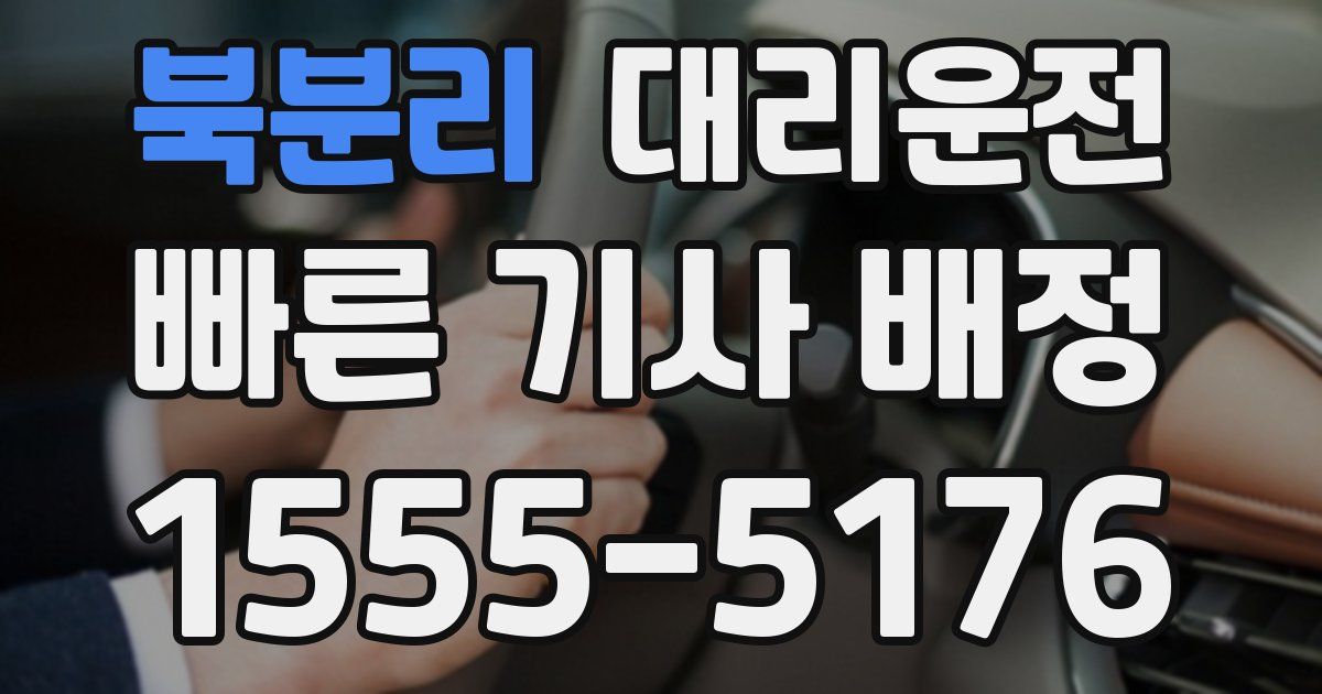 일일대리기사