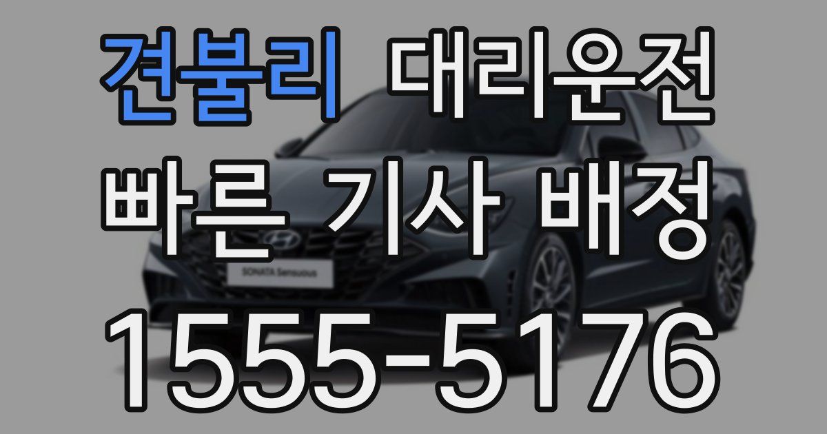 일일대리기사
