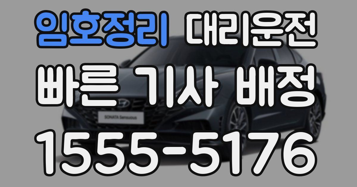 일일대리기사