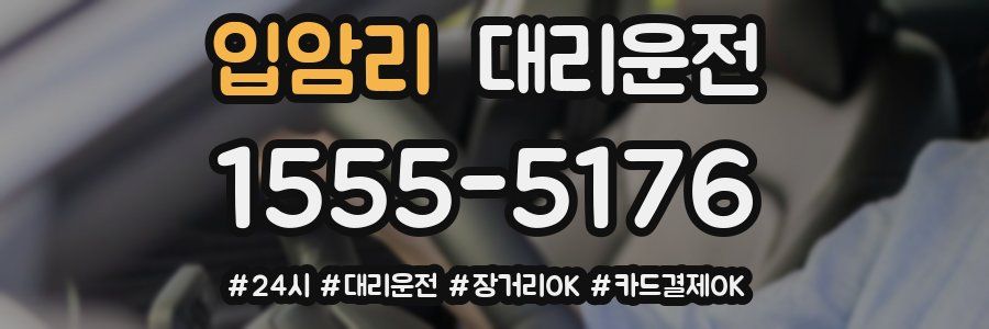 입암리 대리운전