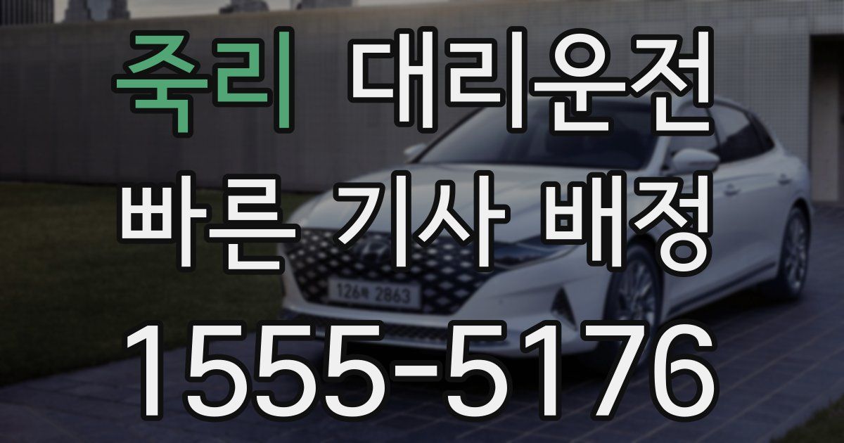 일일대리기사