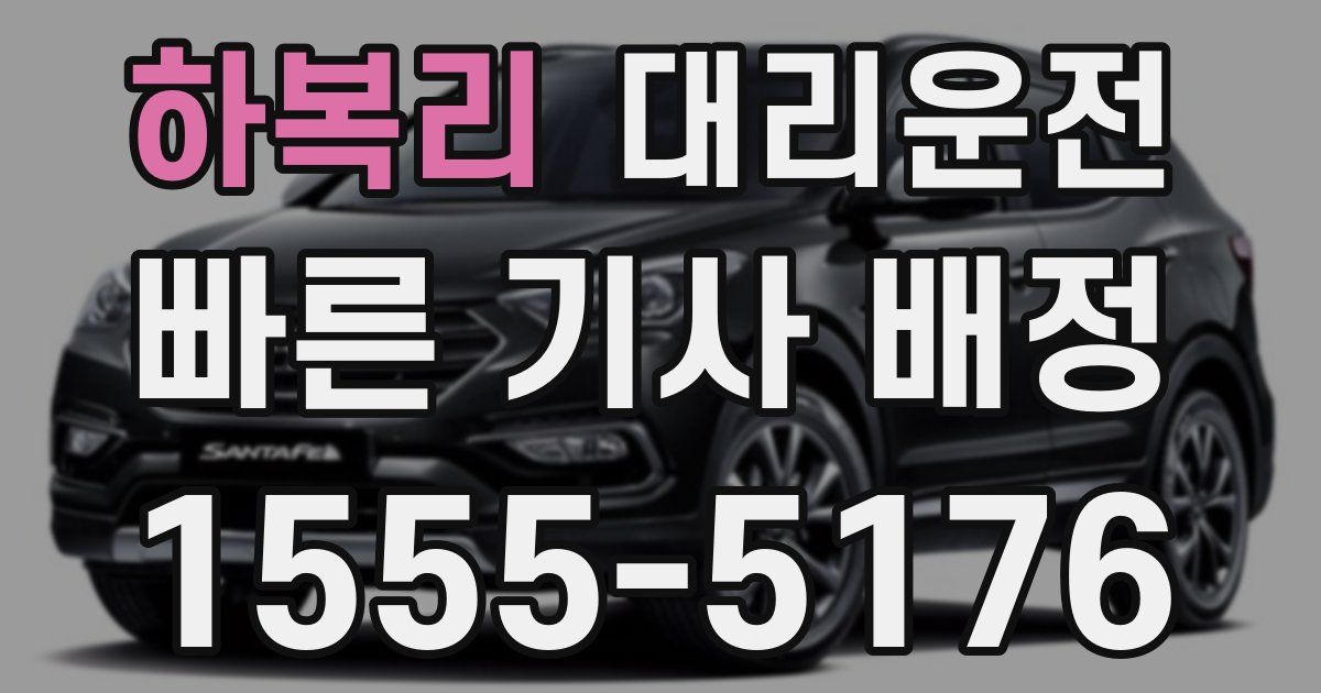 일일대리기사