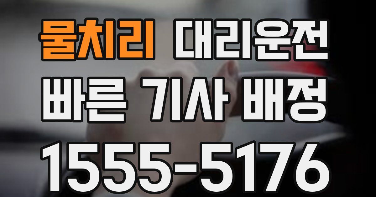 일일대리기사