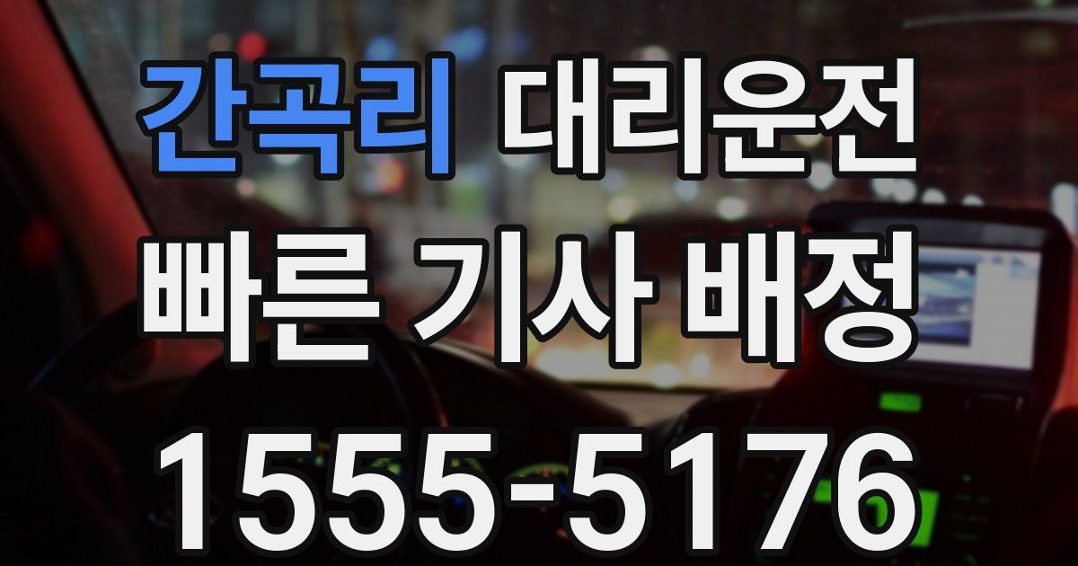 일일대리기사