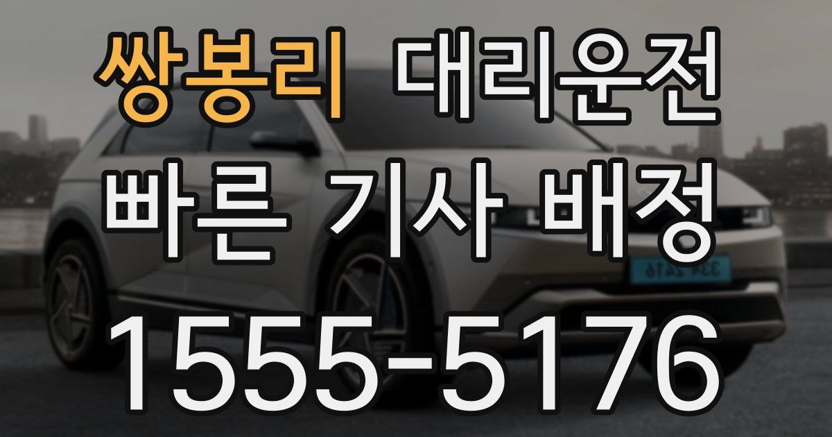 일일대리기사