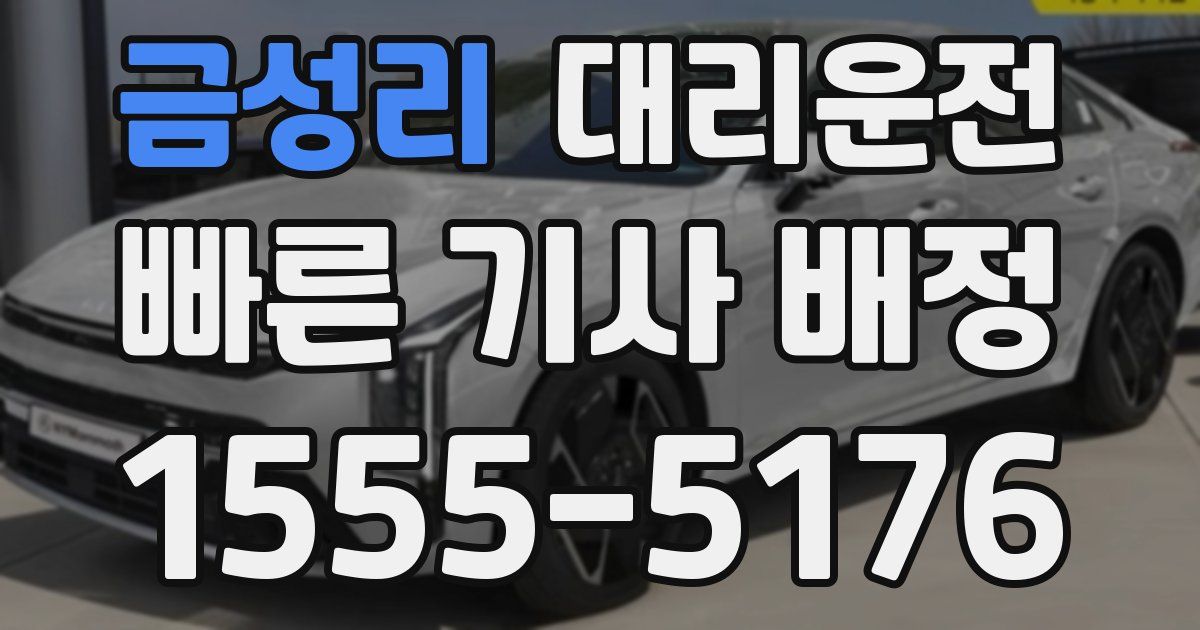일일대리기사