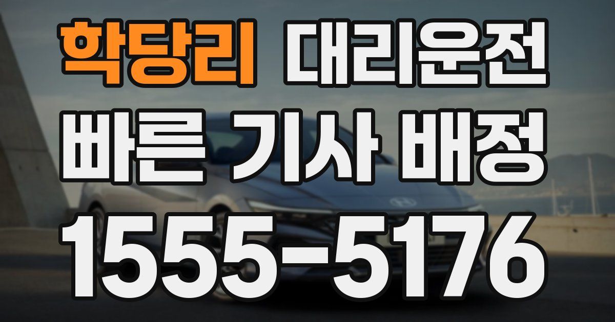 일일대리기사