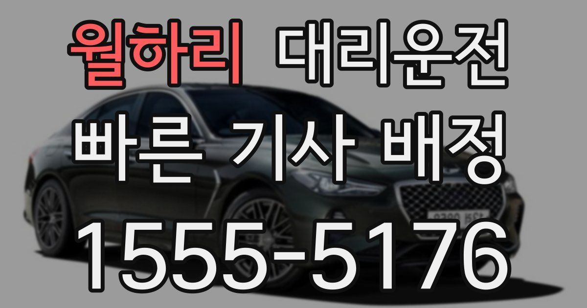 일일대리기사