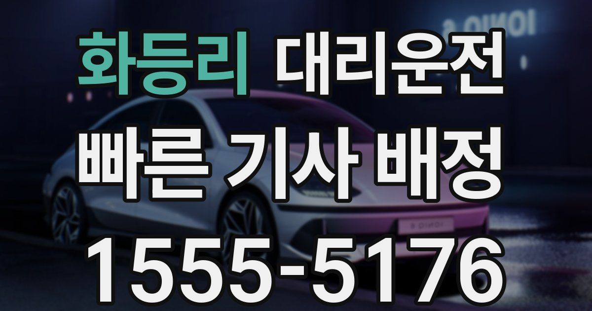 일일대리기사