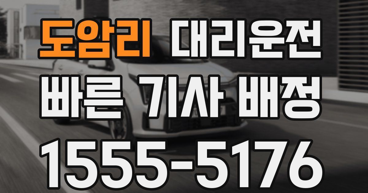 일일대리기사
