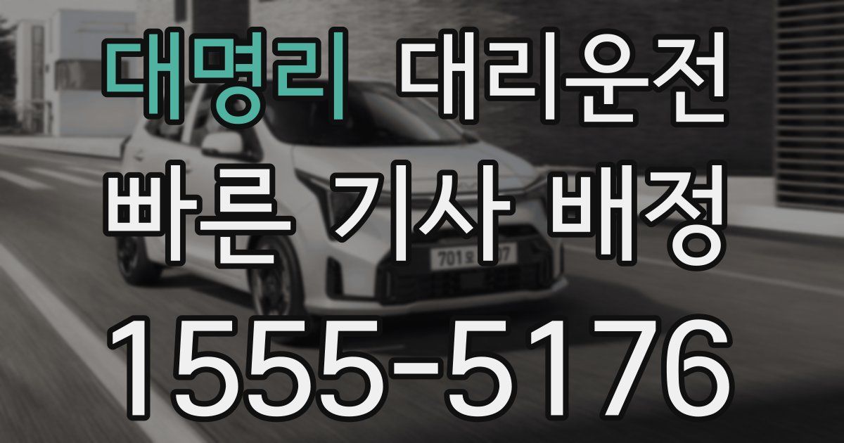 일일대리기사