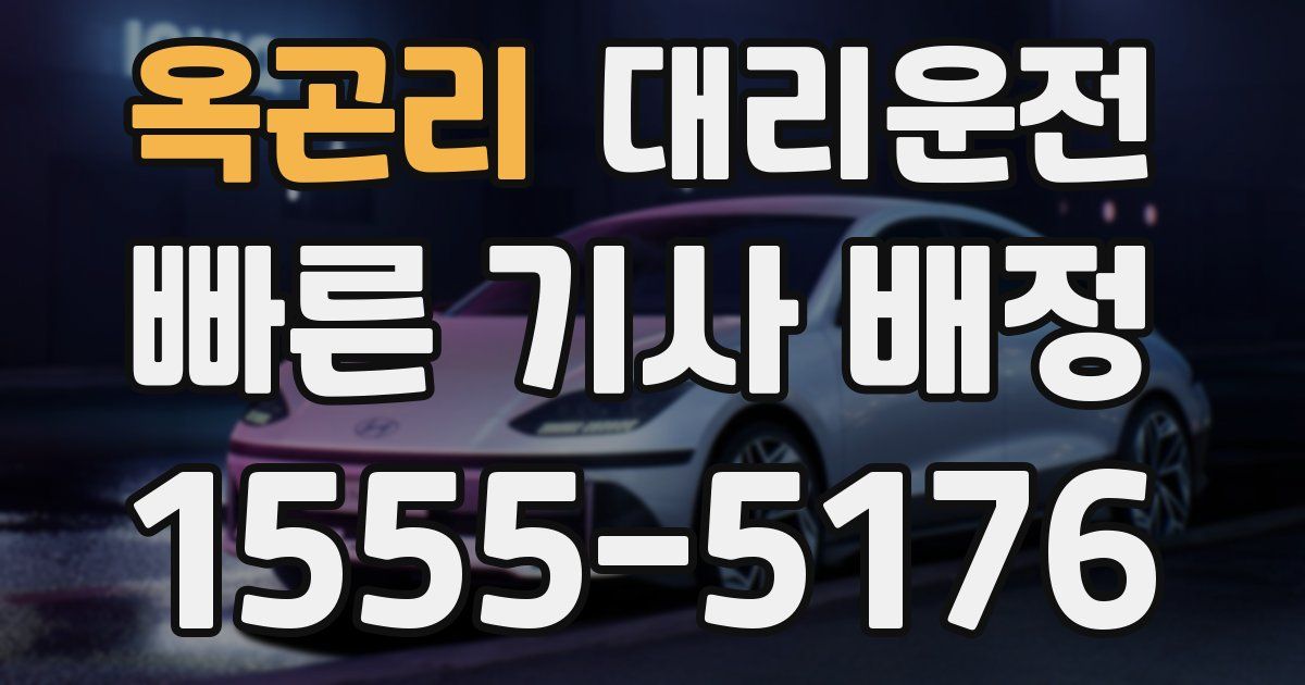 일일대리기사