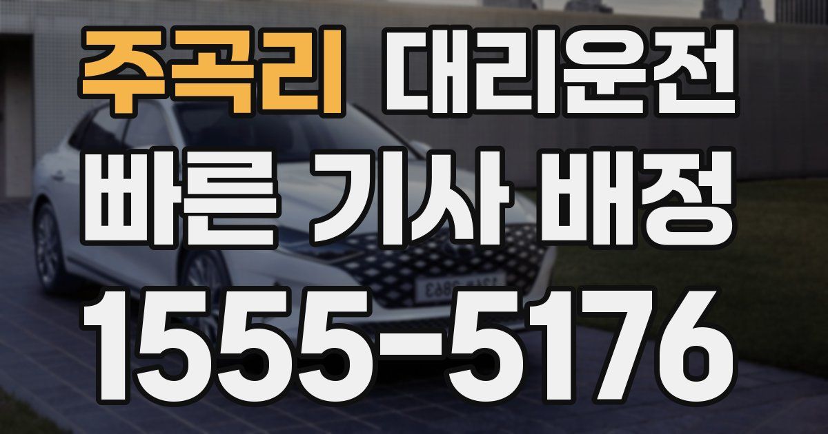 일일대리기사
