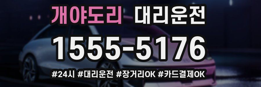 개야도리 대리운전