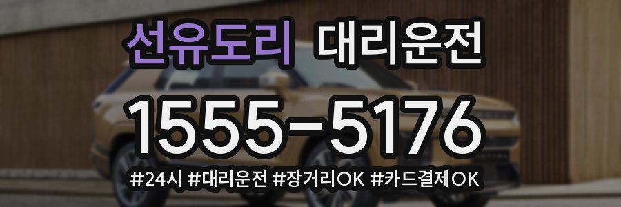 선유도리 대리운전