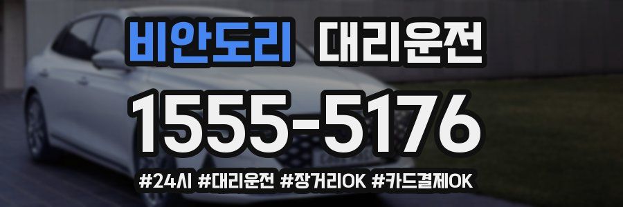 비안도리 대리운전