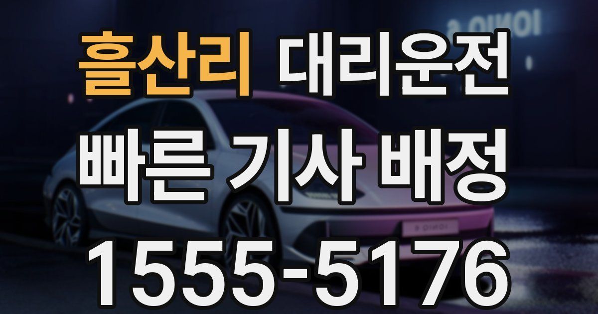 일일대리기사