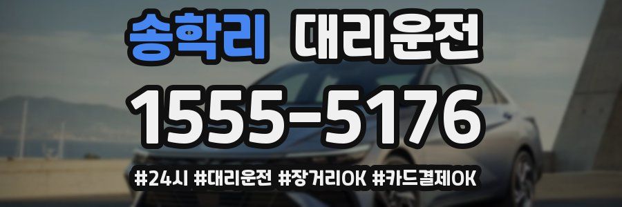송학리 대리운전