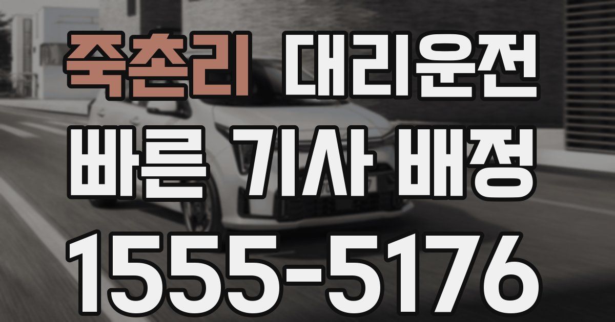 일일대리기사
