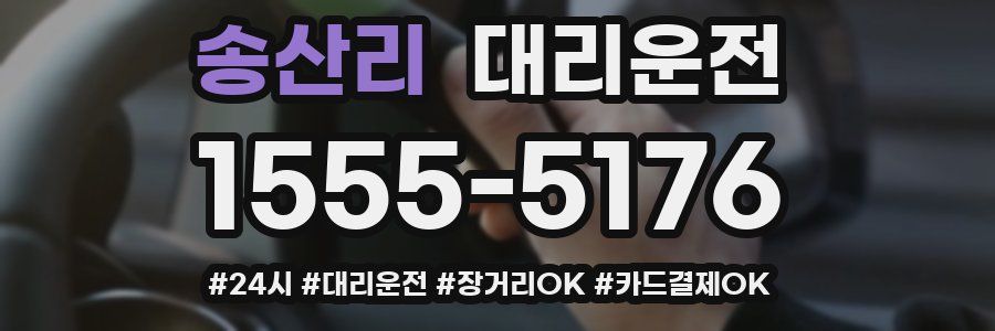 송산리 대리운전