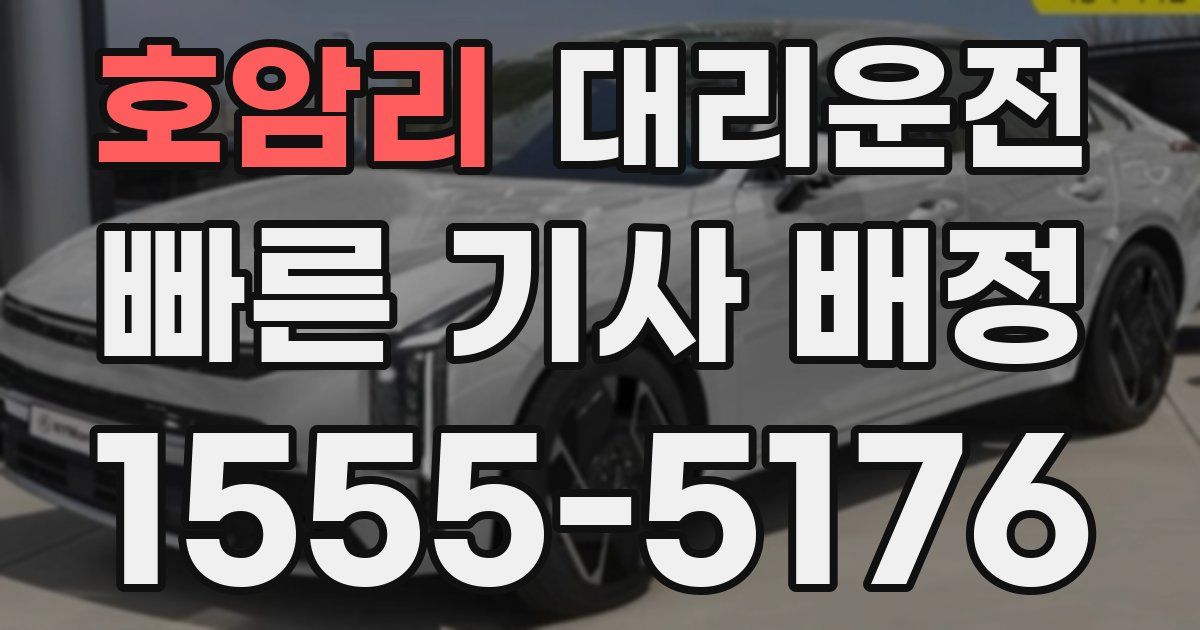 일일대리기사