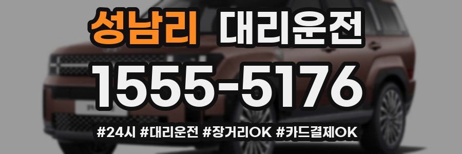 성남리 대리운전