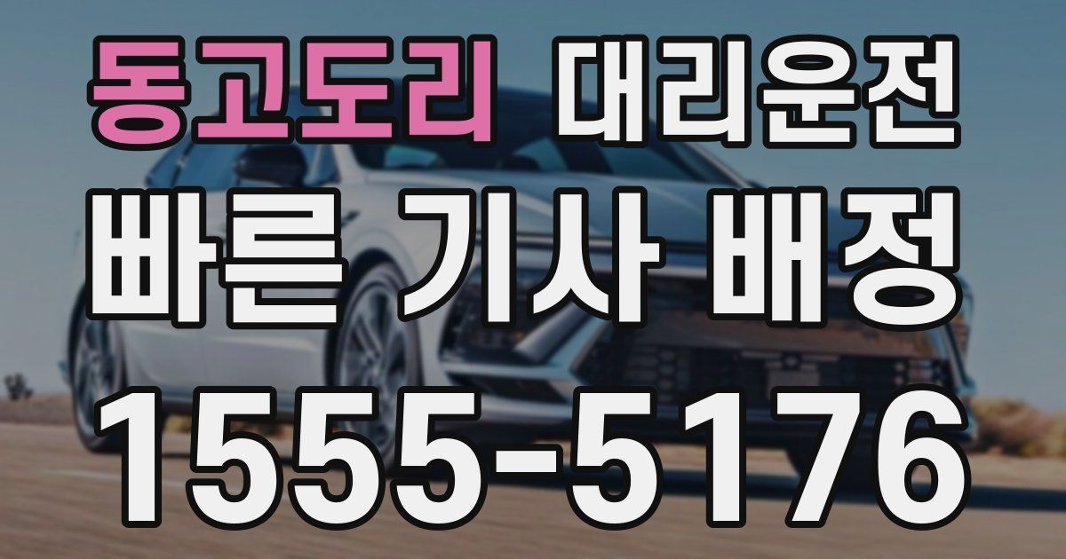 일일대리기사