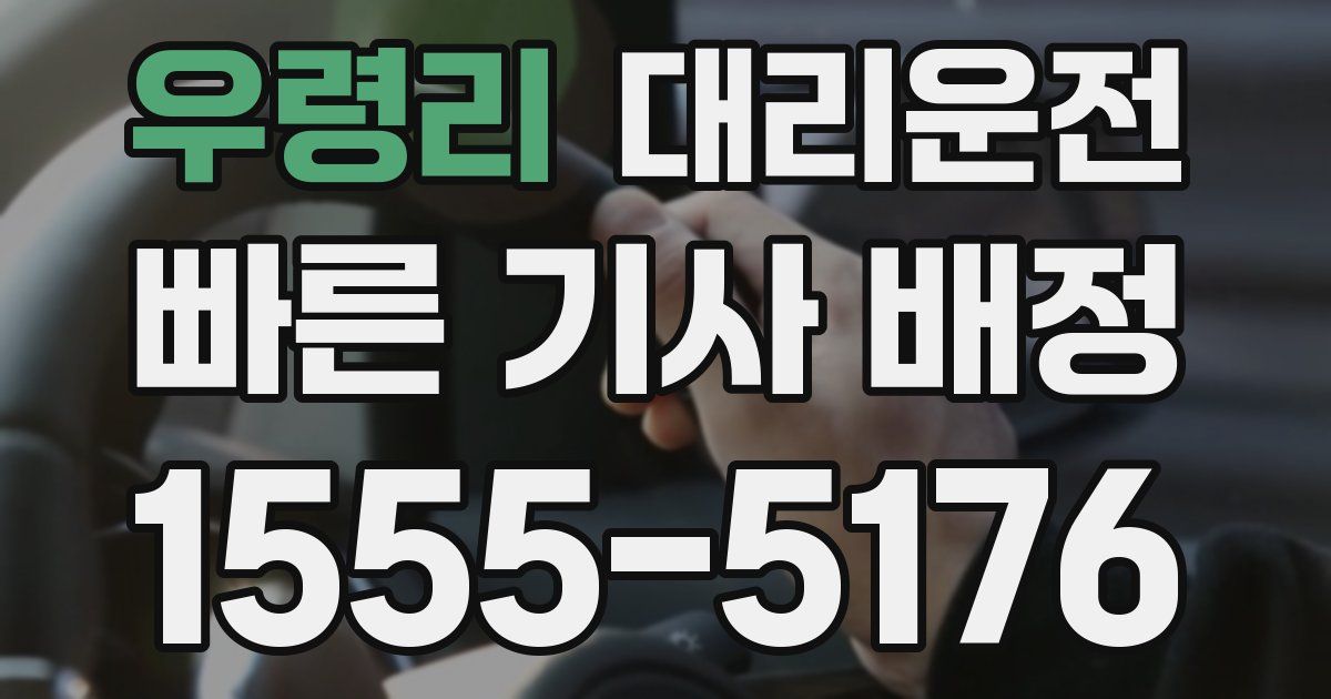 일일대리기사