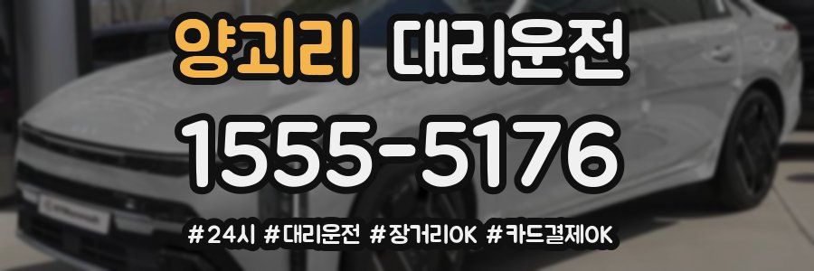 양괴리 대리운전