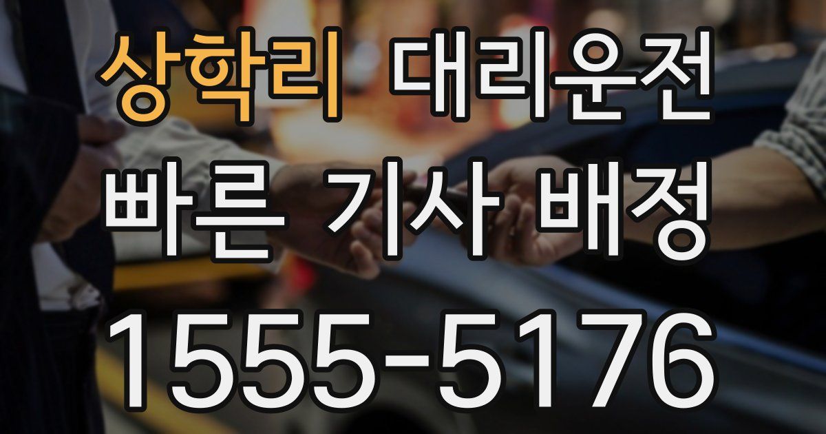 일일대리기사