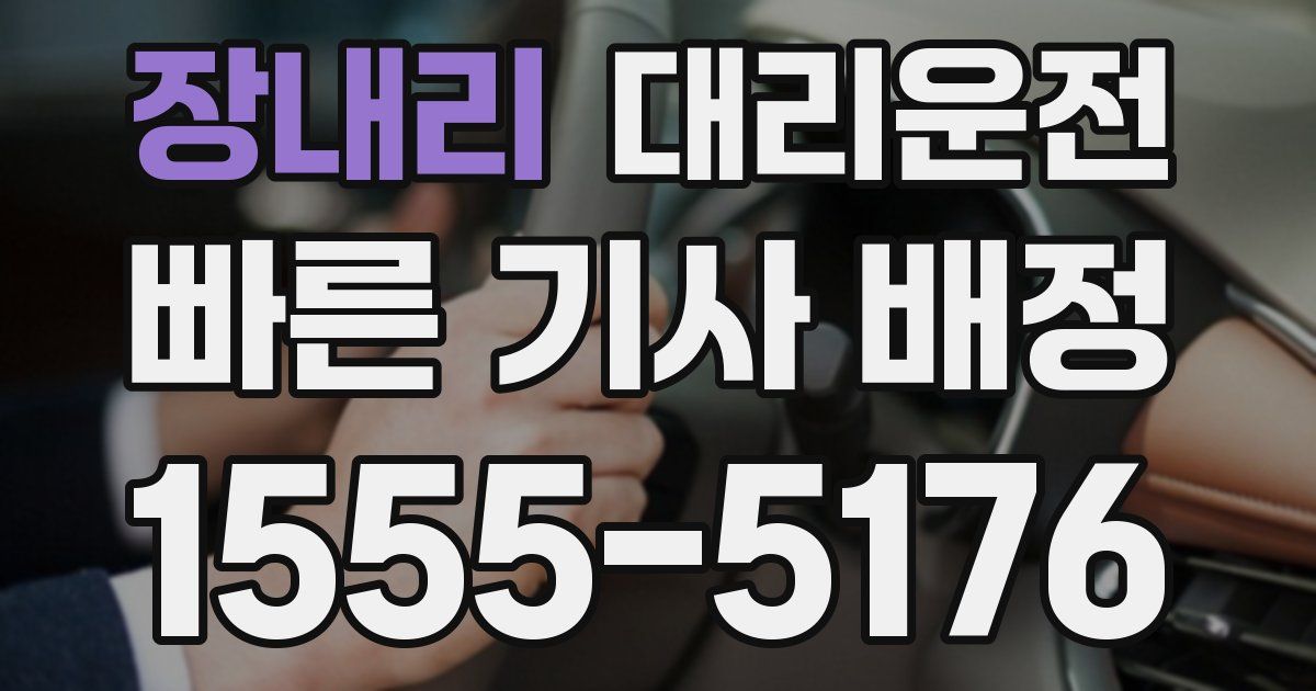 일일대리기사