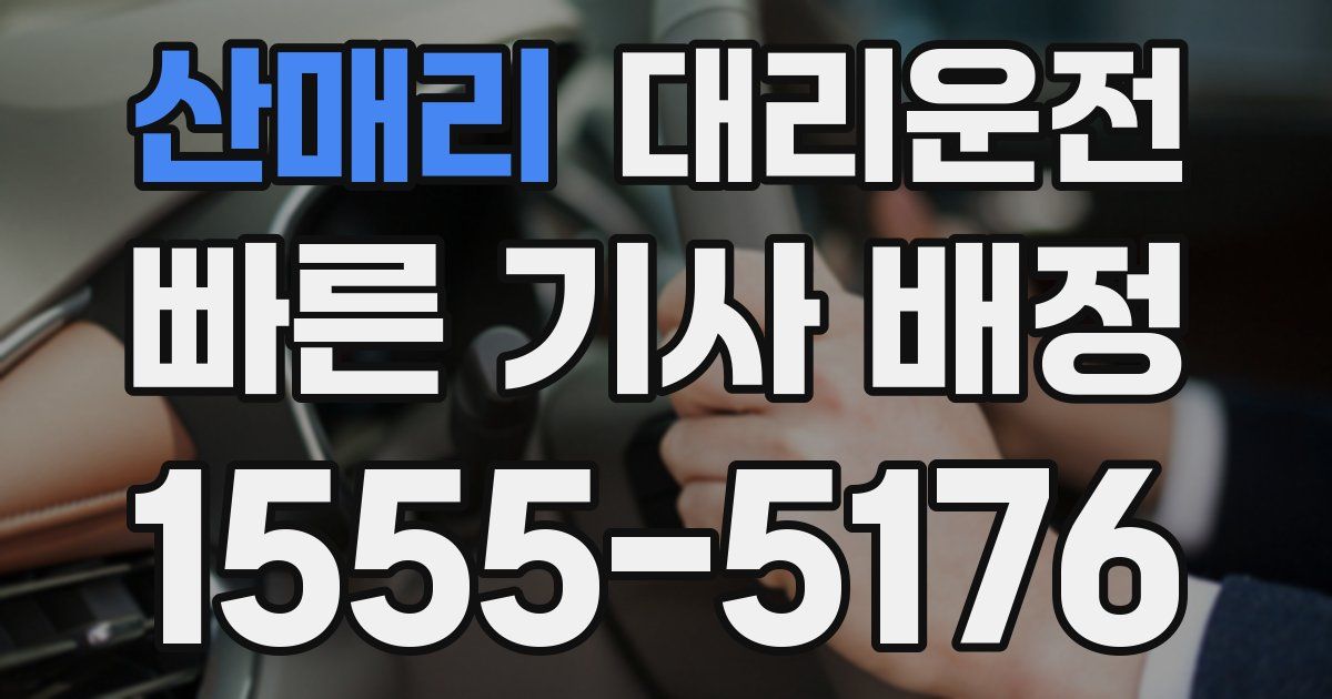 일일대리기사