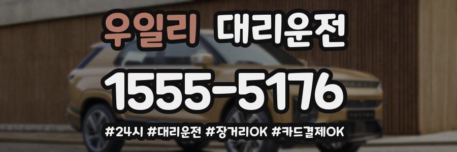 우일리 대리운전