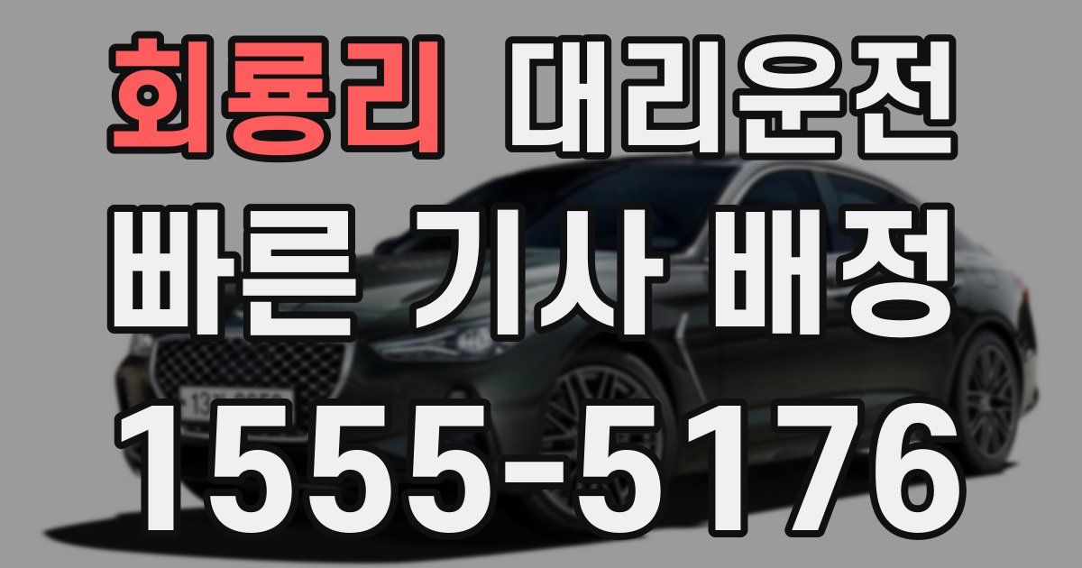 일일대리기사